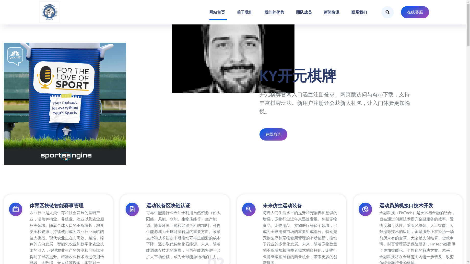 website screenshot of https://zhv-kaiyuan.com/