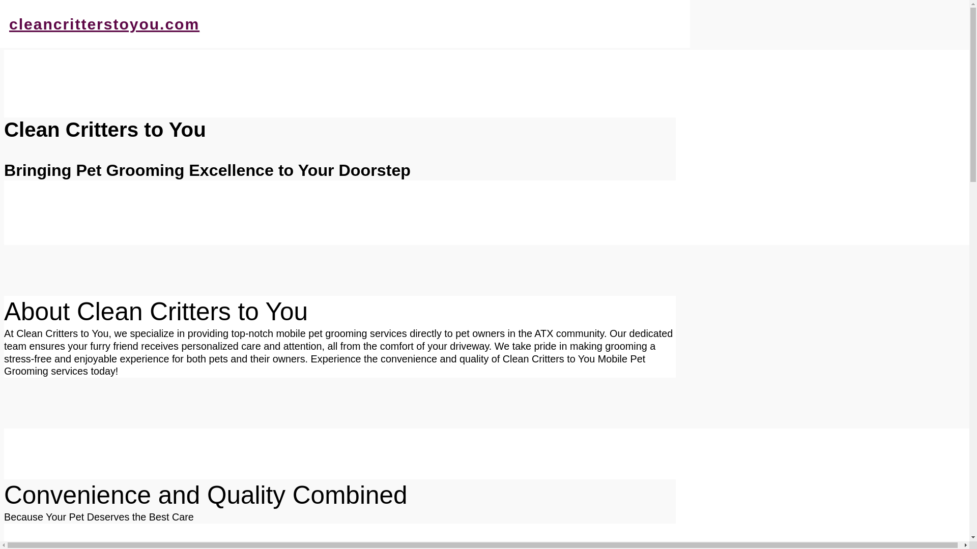 website screenshot of https://cleancrittertoyou.com/