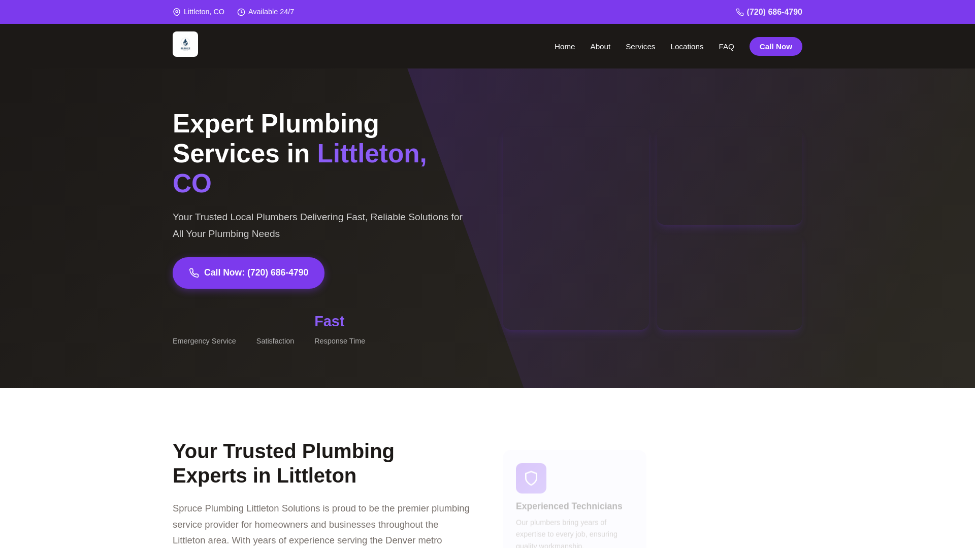 website screenshot of https://spruceplumbinglittletonsolutions.com