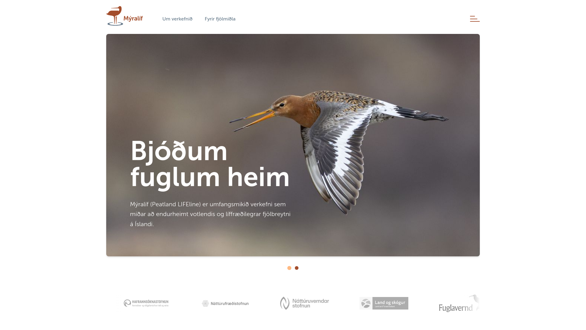 website screenshot of https://myralif.is