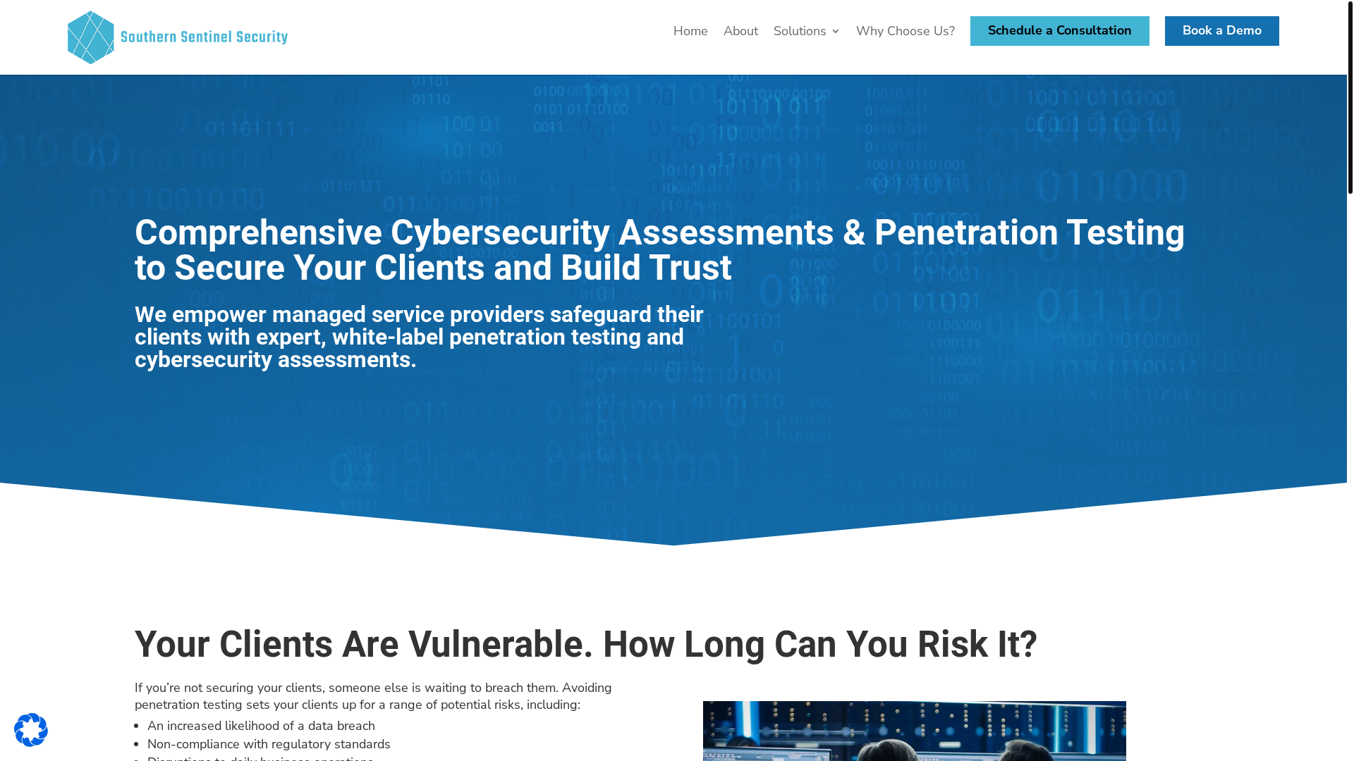 website screenshot of https://southernsentinelsecurity.org/