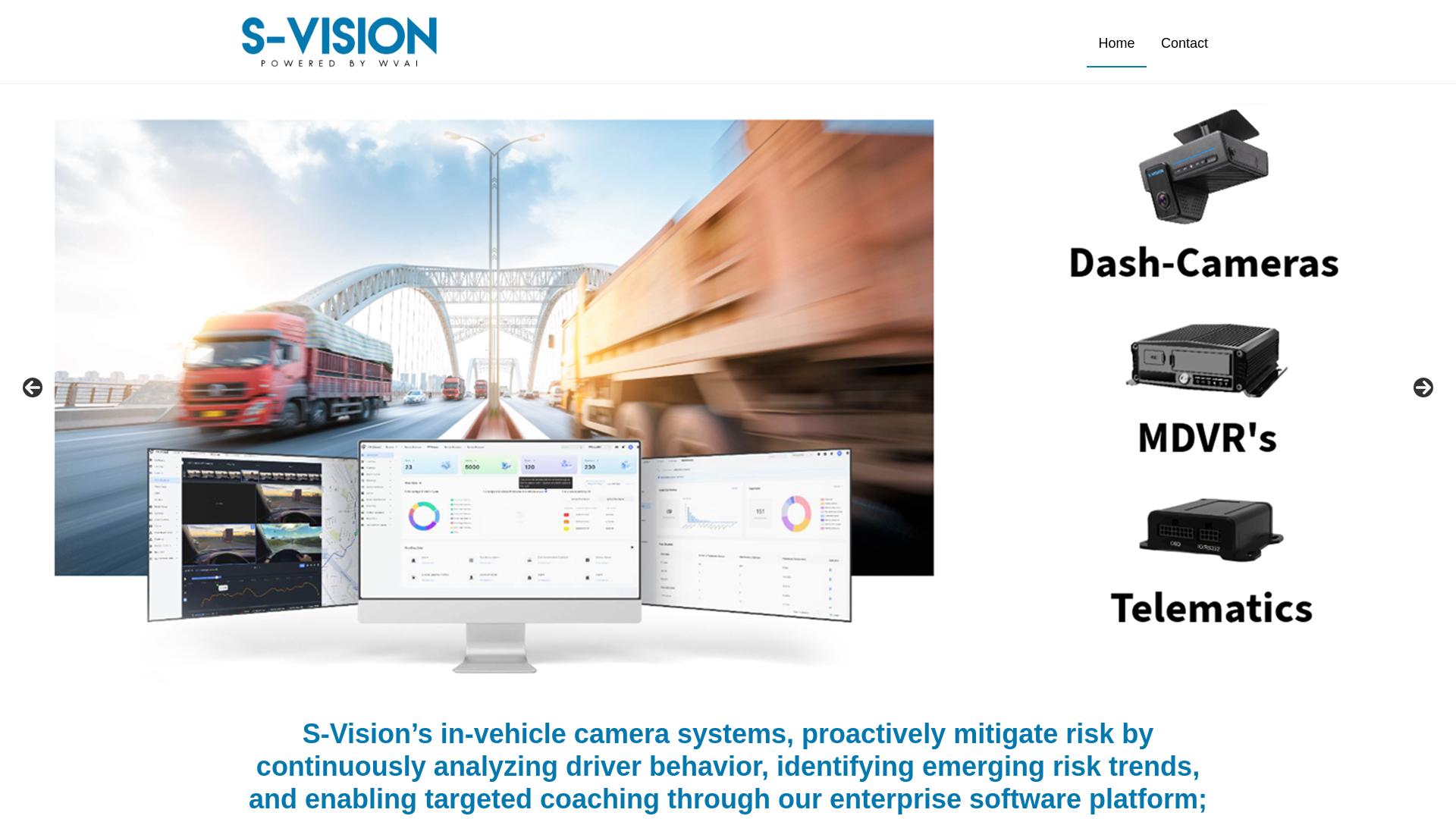 website screenshot of https://svisionpartners.com/