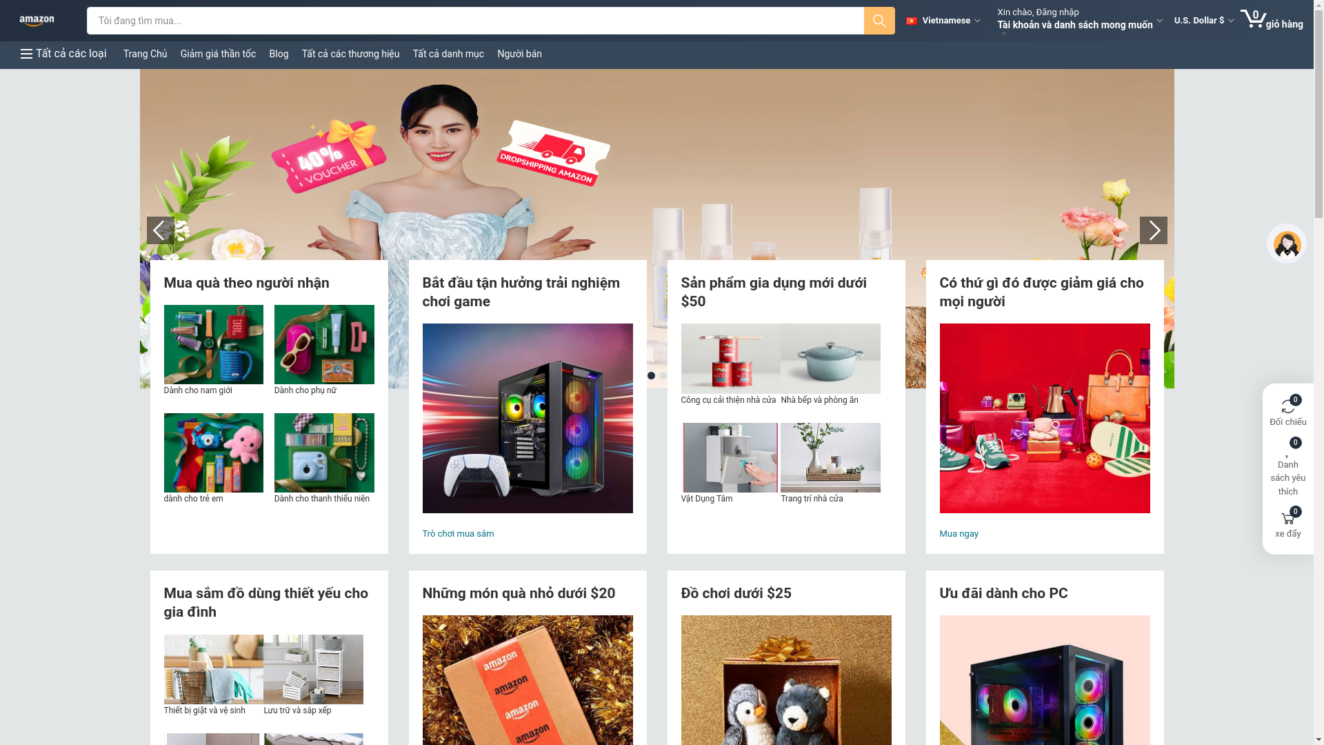 website screenshot of https://dsvnship.com/