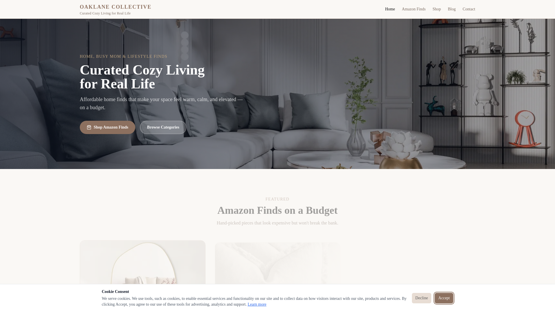 website screenshot of https://oaklanecollective.com
