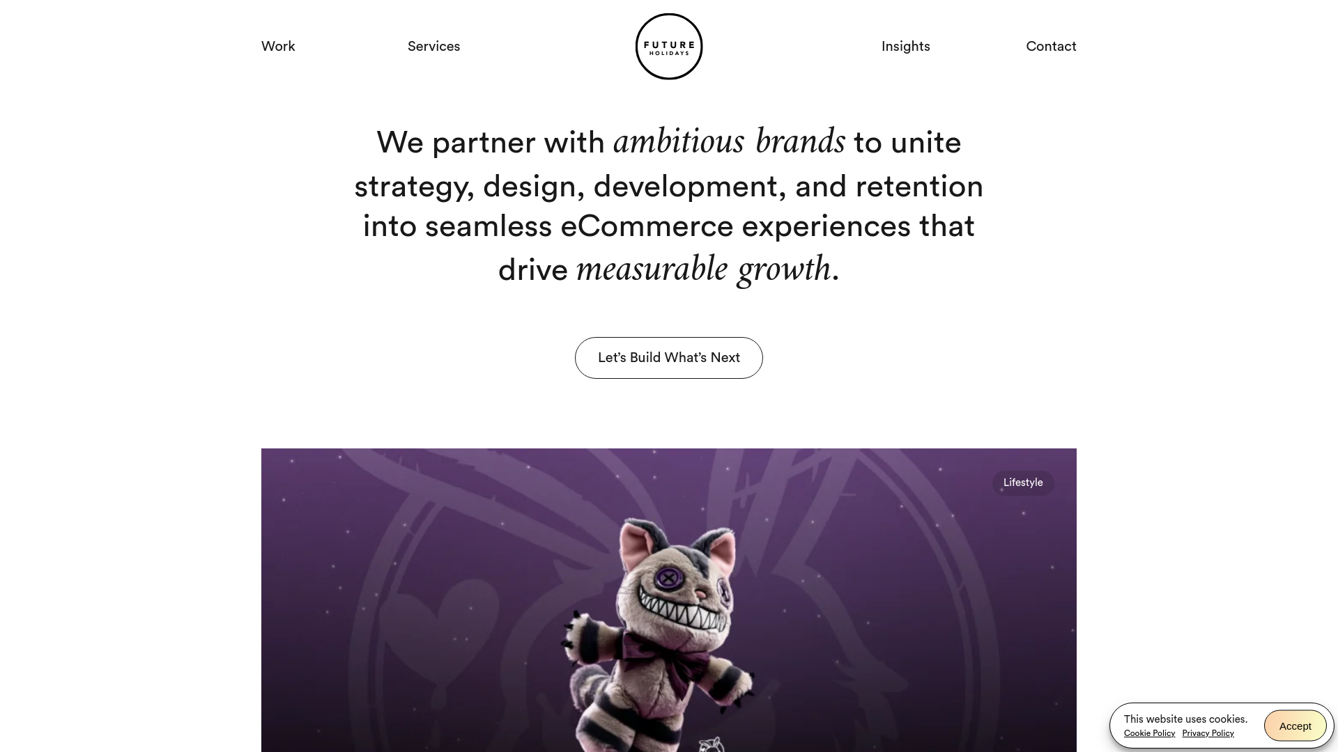 website screenshot of https://futureholidaysplus.info/