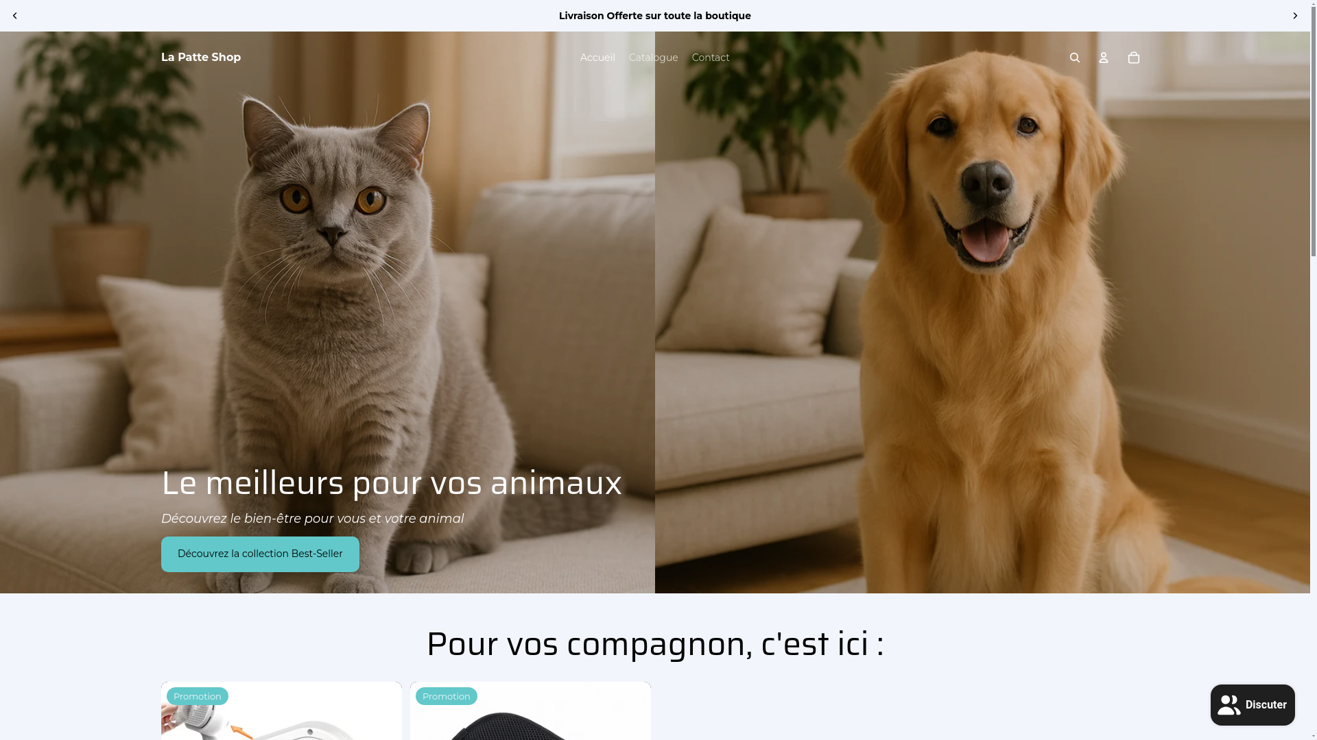 website screenshot of https://lapatteshopglail.com/