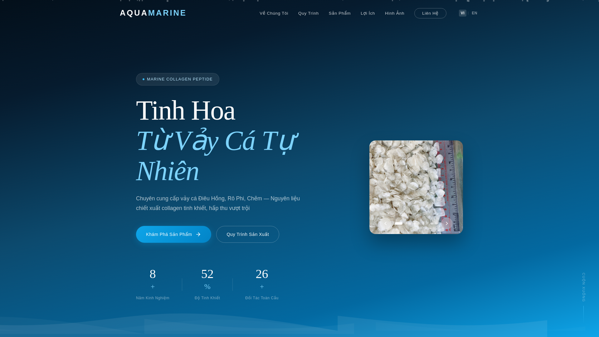 website screenshot of https://aqua-marine.vn/