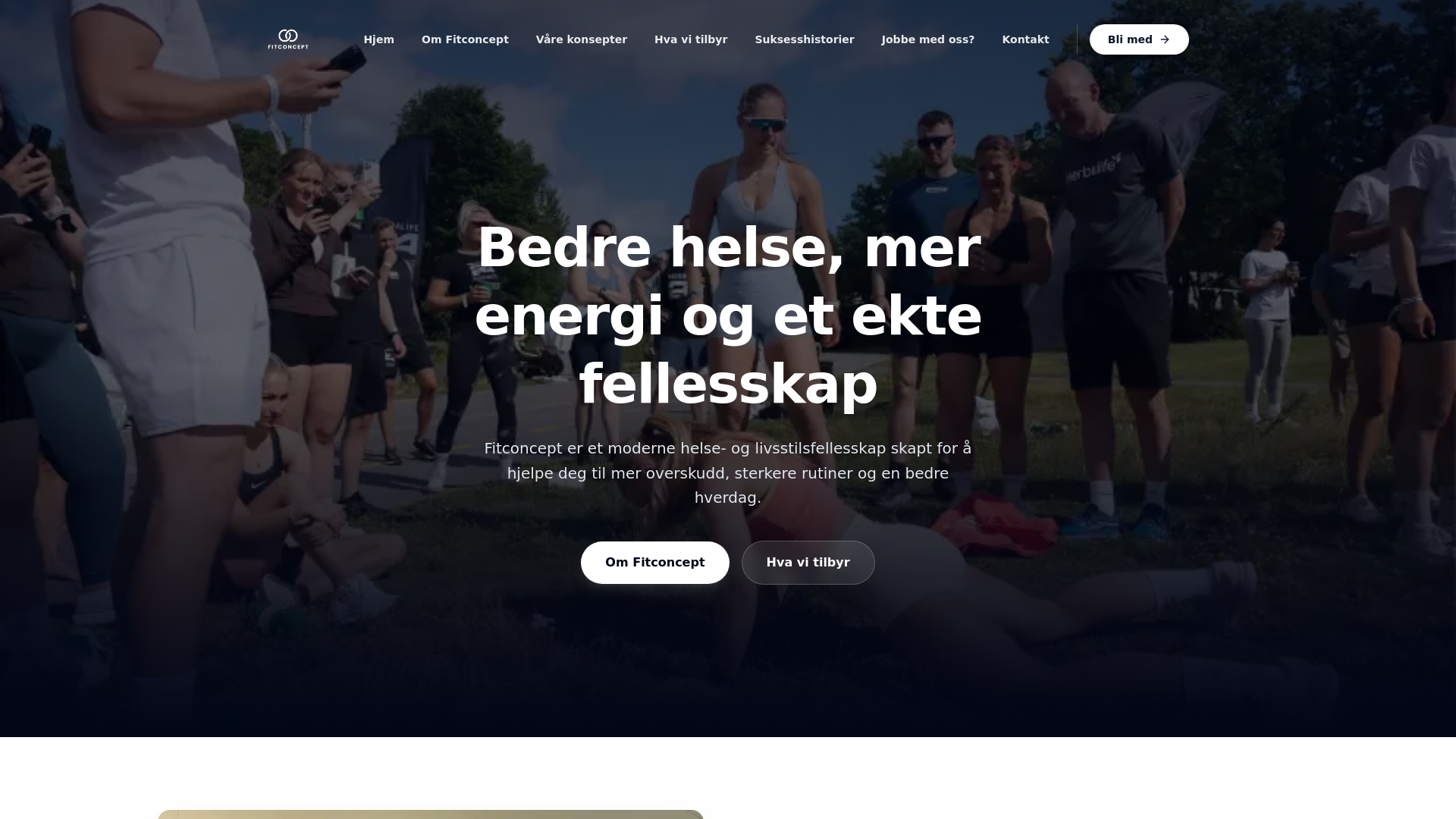 website screenshot of https://fitconcept.no