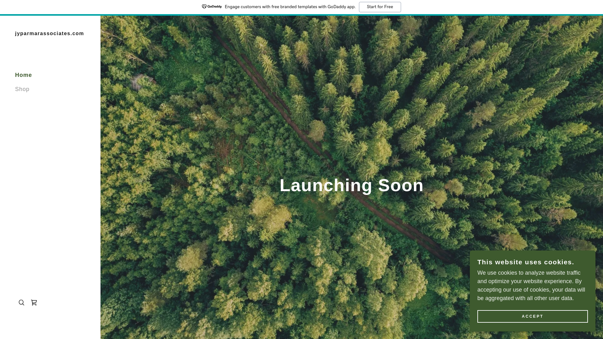 website screenshot of https://jyparmarassociates.com/