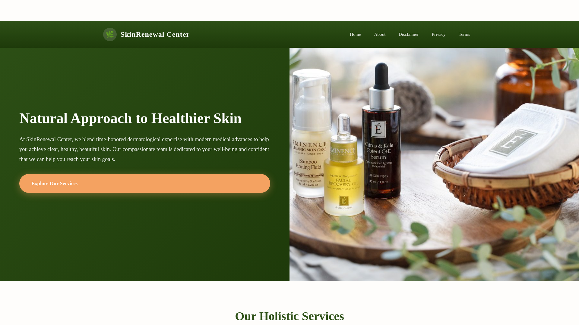 website screenshot of https://clearmoleskin.com