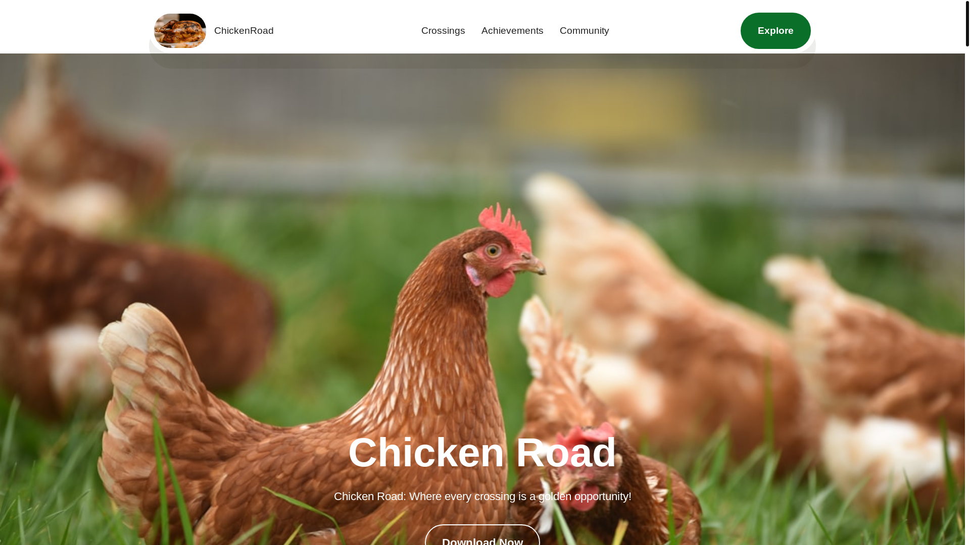 website screenshot of https://chickenroadsulukon.info/
