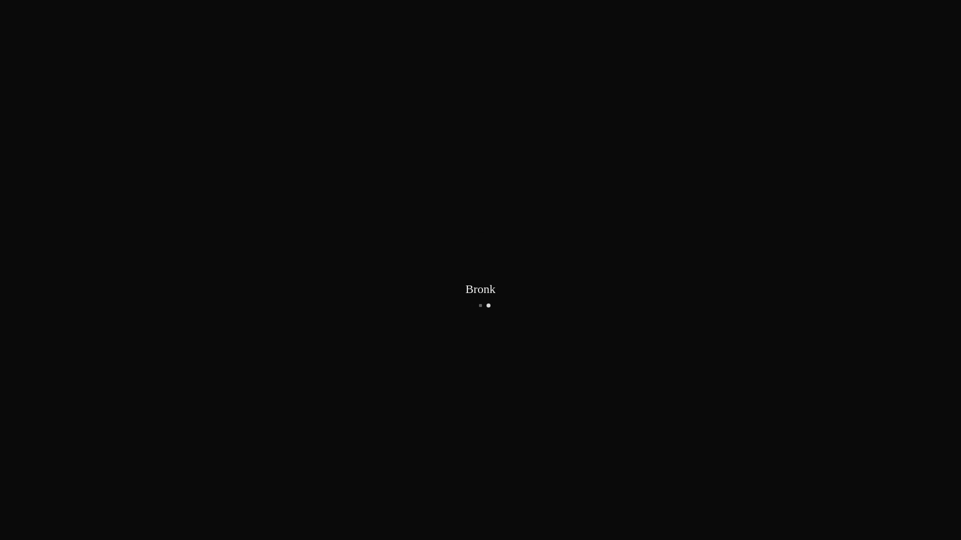 website screenshot of https://bronkagent.com/