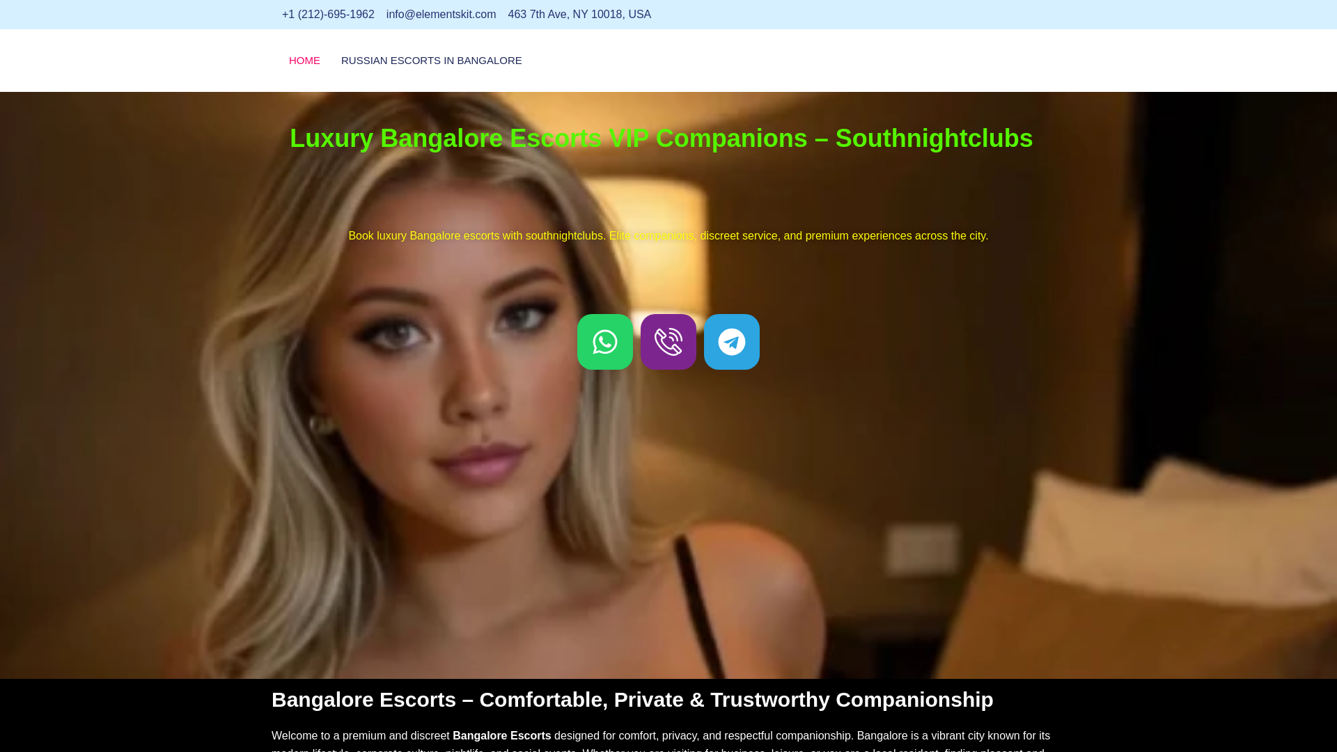 website screenshot of https://southnightclubs.com/