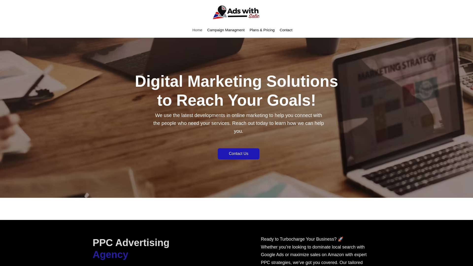 website screenshot of https://adswithsalicpro.com/