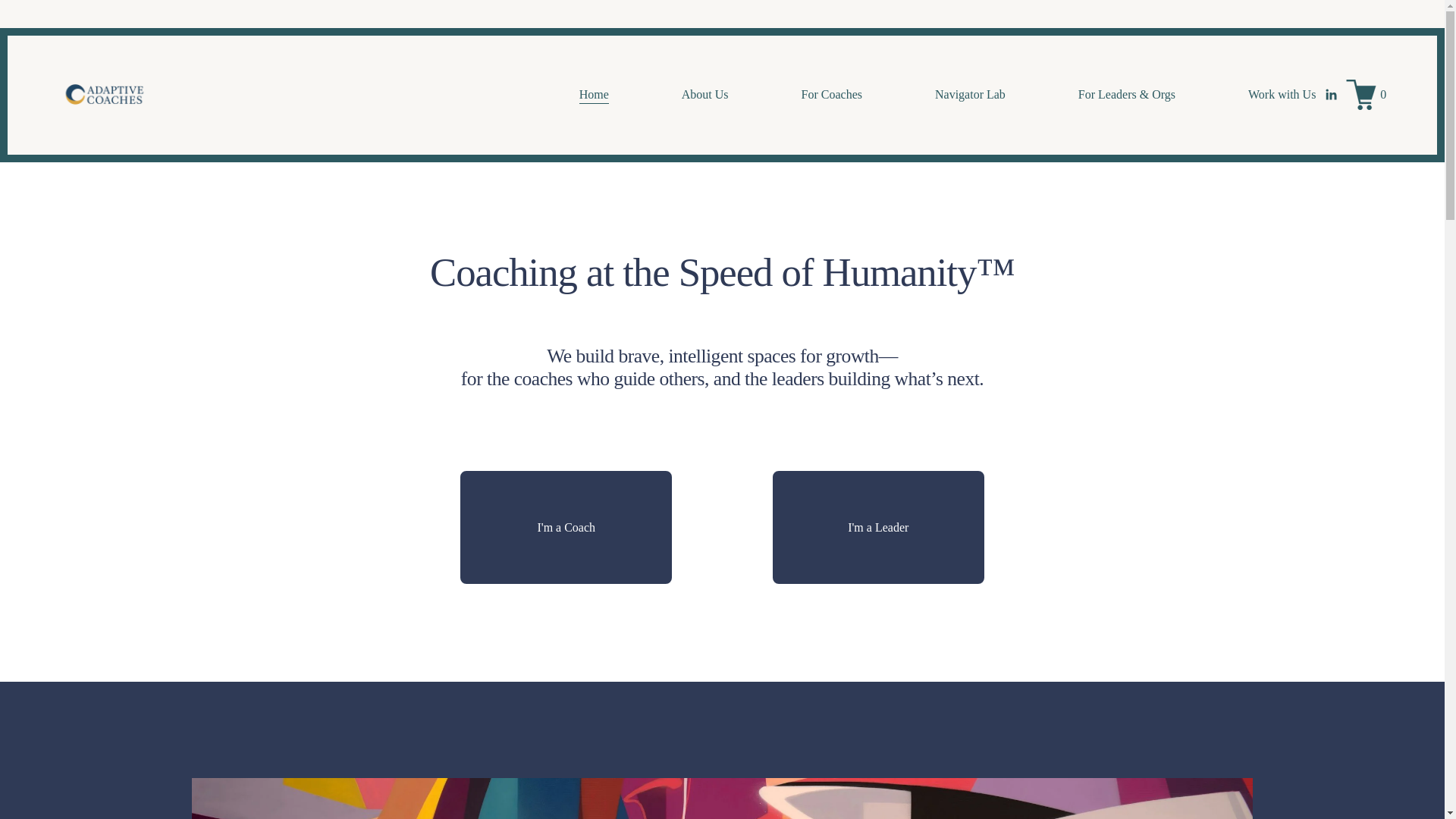 website screenshot of https://adaptleader.net/