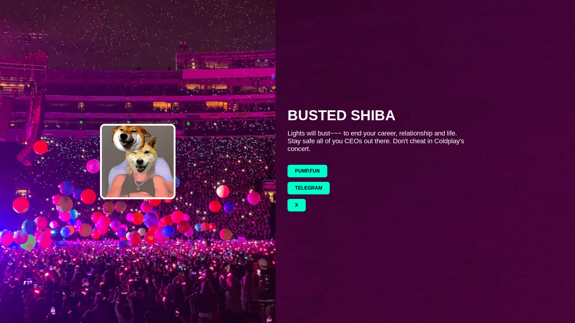 website screenshot of https://bustedshiba.lol/