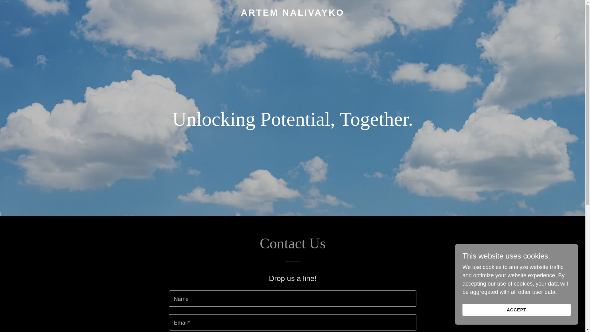 website screenshot of https://artemnalivayko.com/