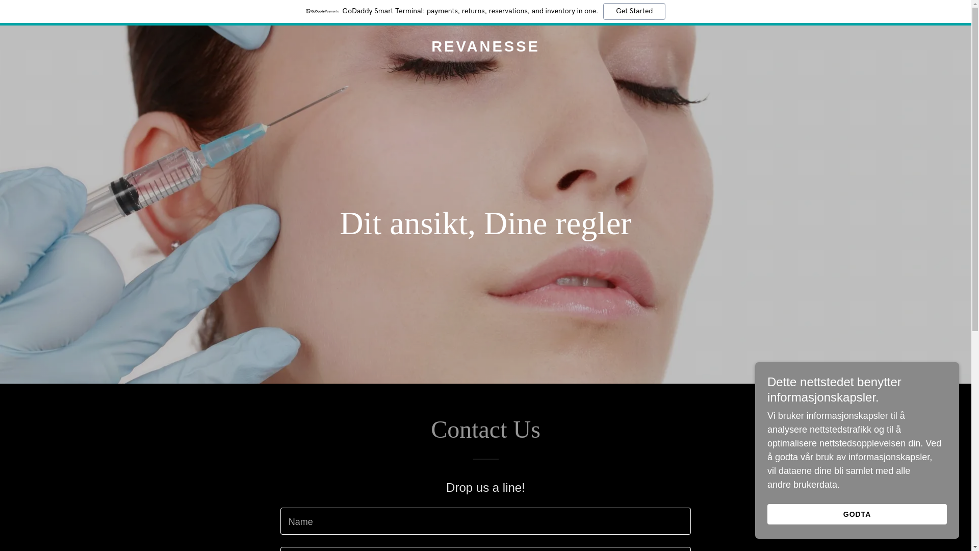 website screenshot of https://revanesse.dk/