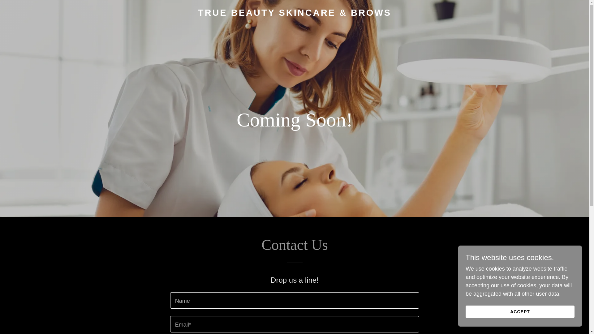 website screenshot of https://truebeautyskincareandbrows.com/