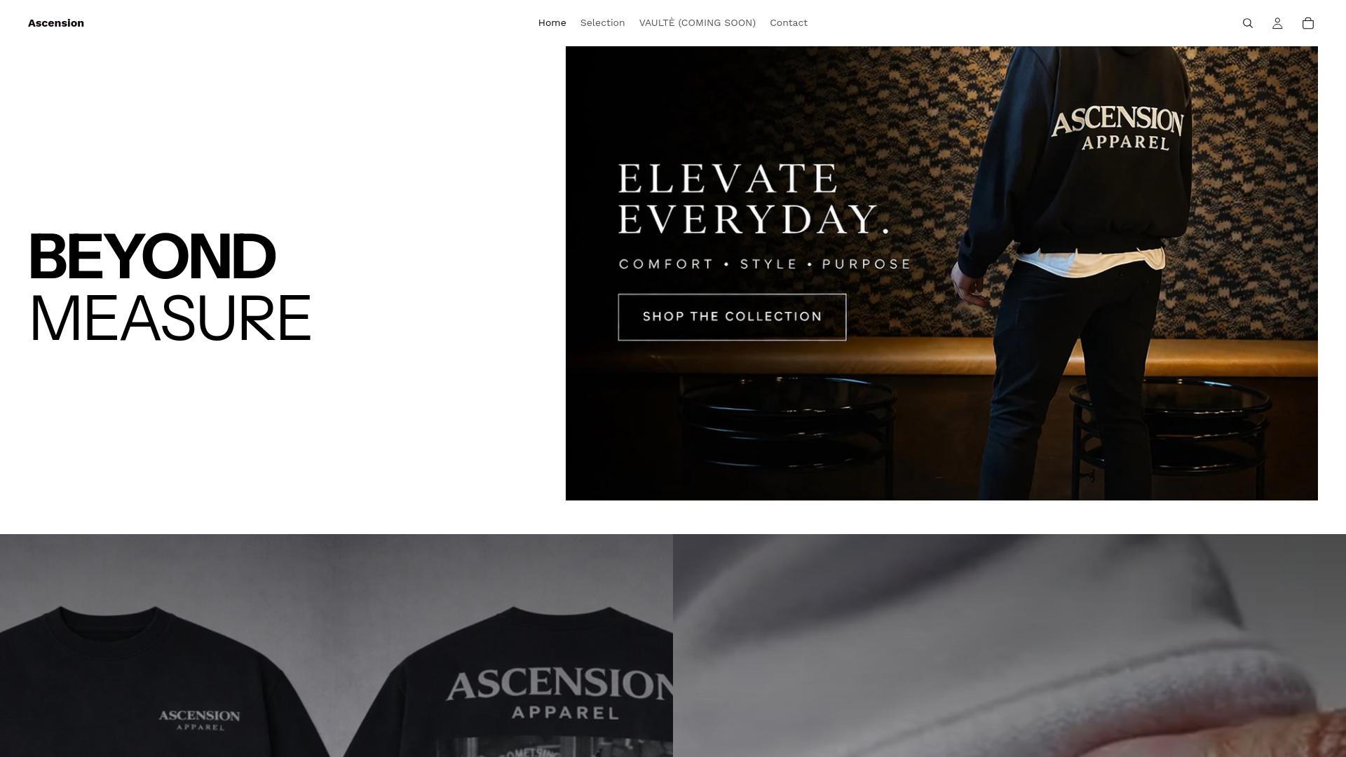 website screenshot of https://ascensionxvaulte.com
