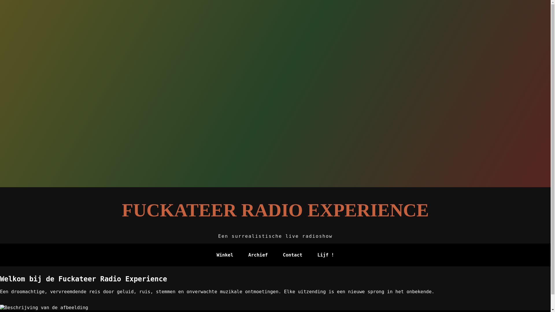 website screenshot of https://fuckateerradioexperience.nl/