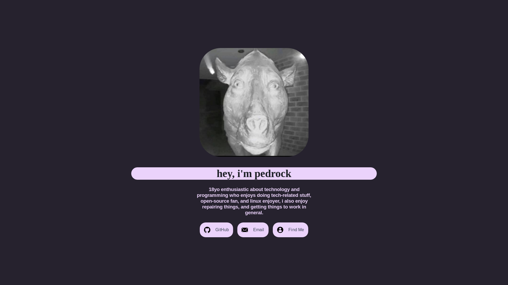website screenshot of https://pedrock.site/