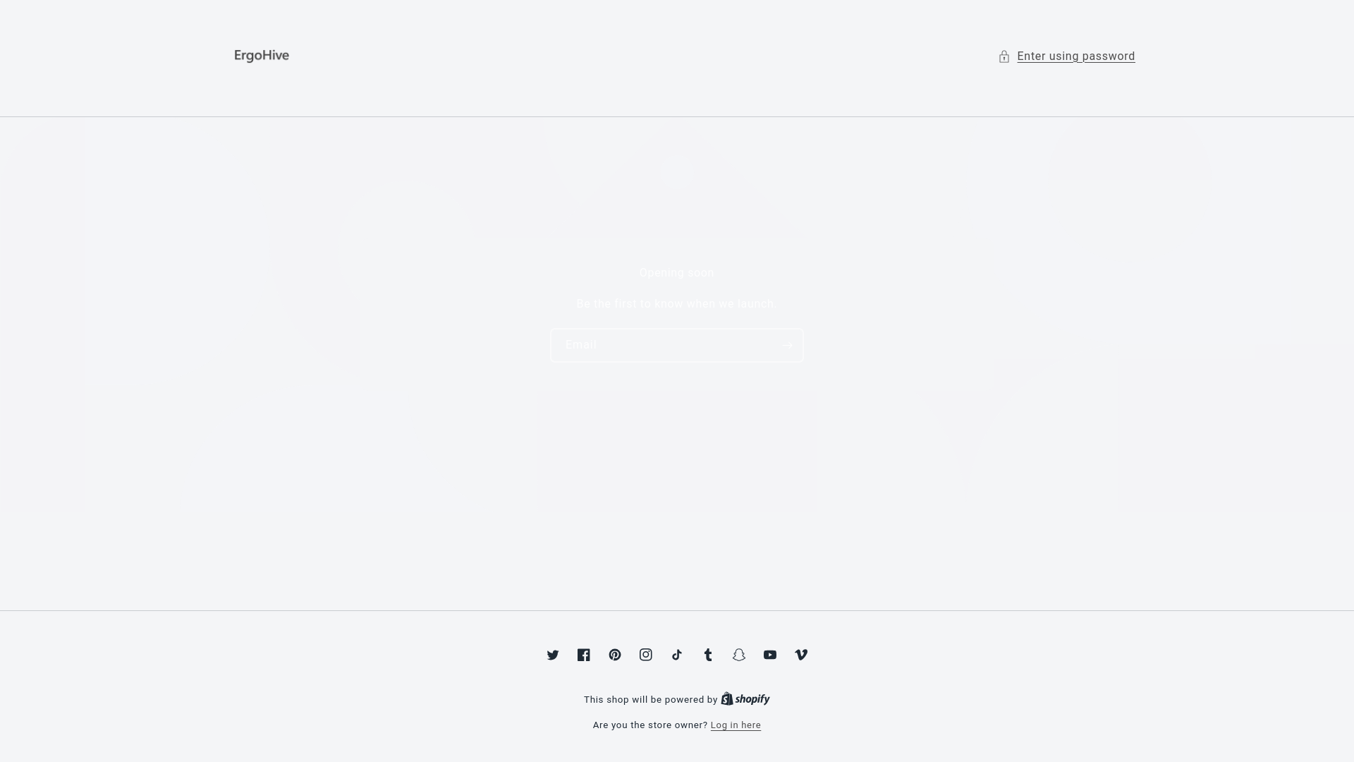 website screenshot of https://ergohive.store/