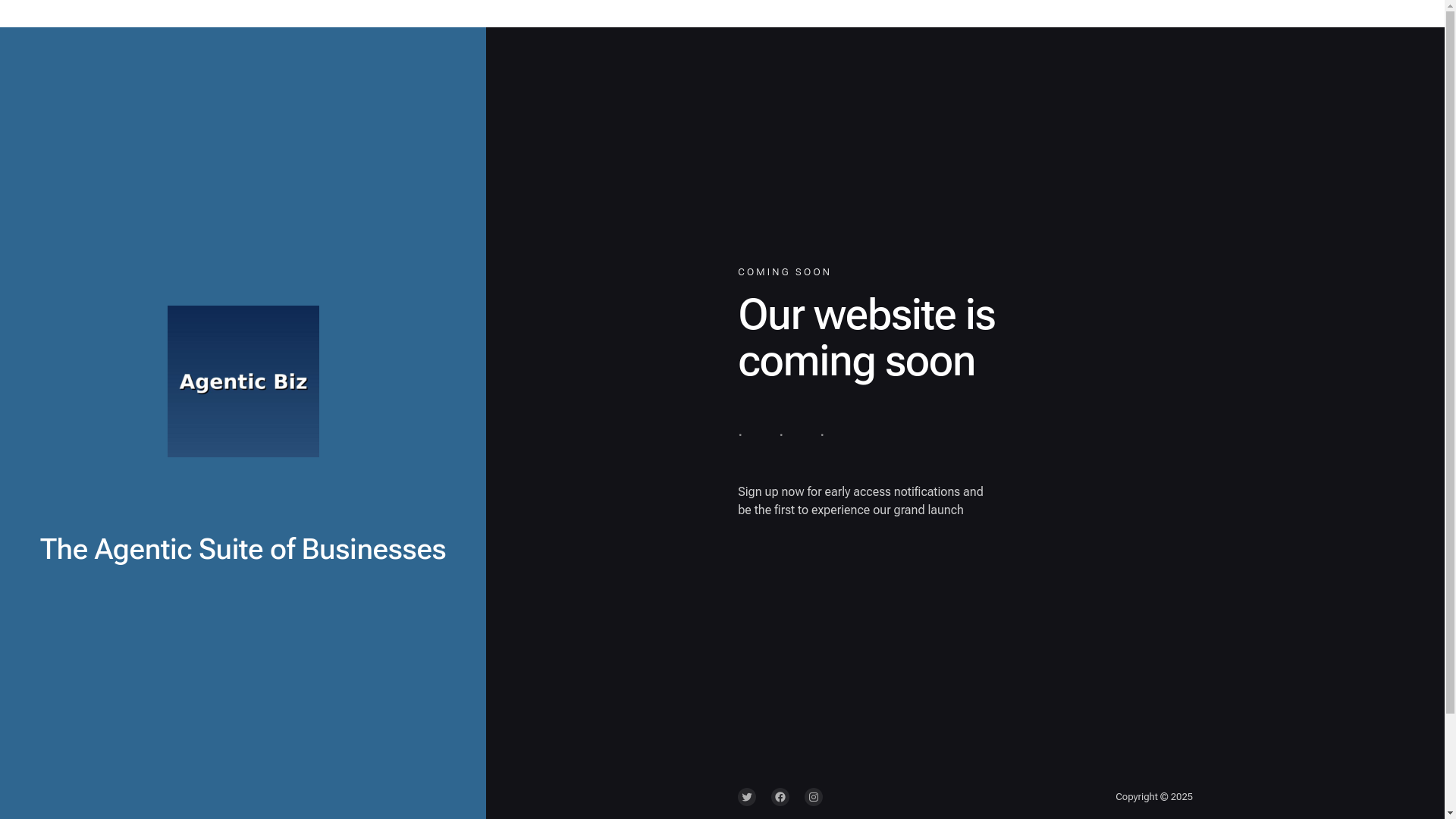 website screenshot of https://agenticbiz.online/