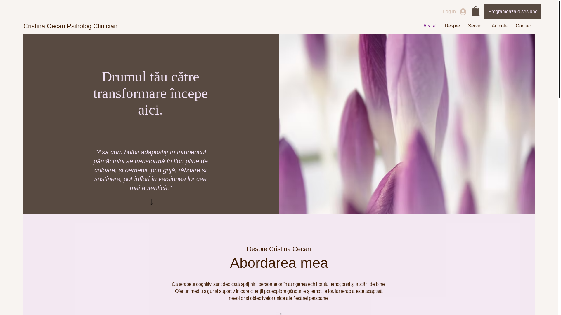 website screenshot of https://cecancristina.ro/