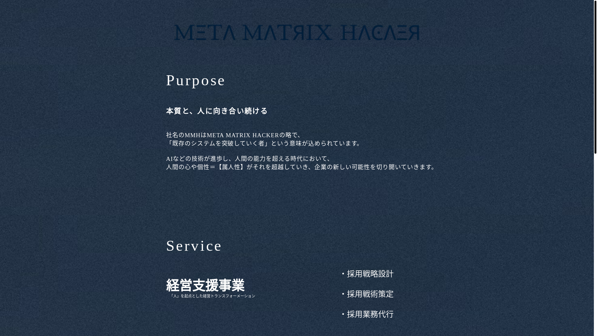 website screenshot of https://metamatrixhacker.com/