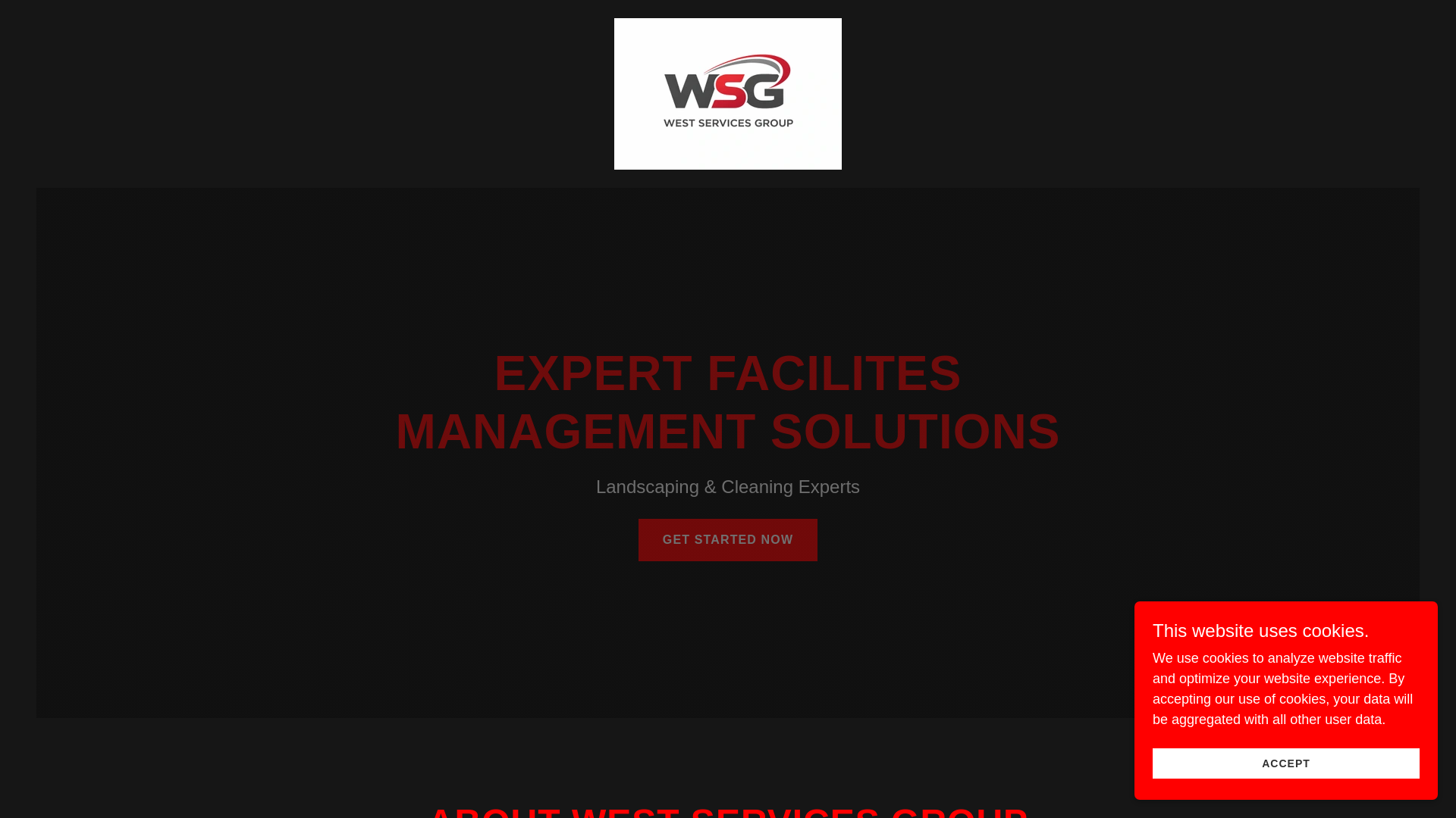 website screenshot of https://wsgroupsa.co.za/