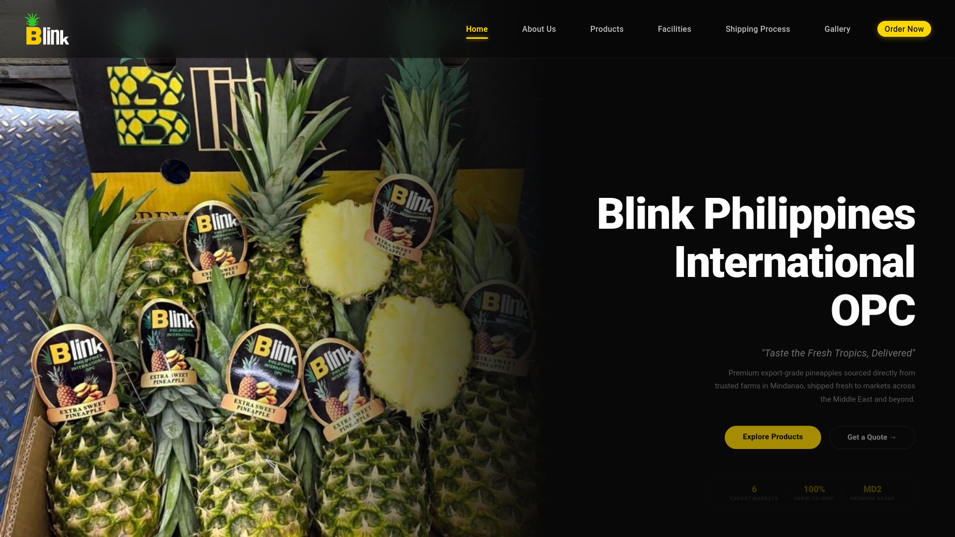 website screenshot of https://blinkinternationalopc.com/