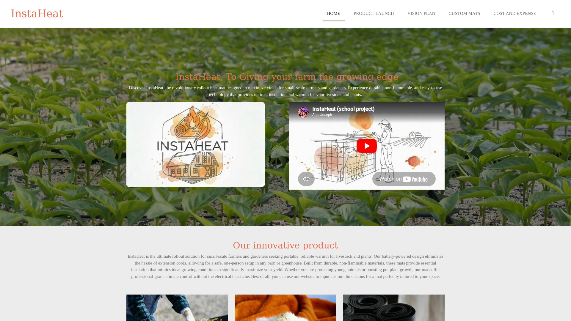 website screenshot of https://instaheat.online