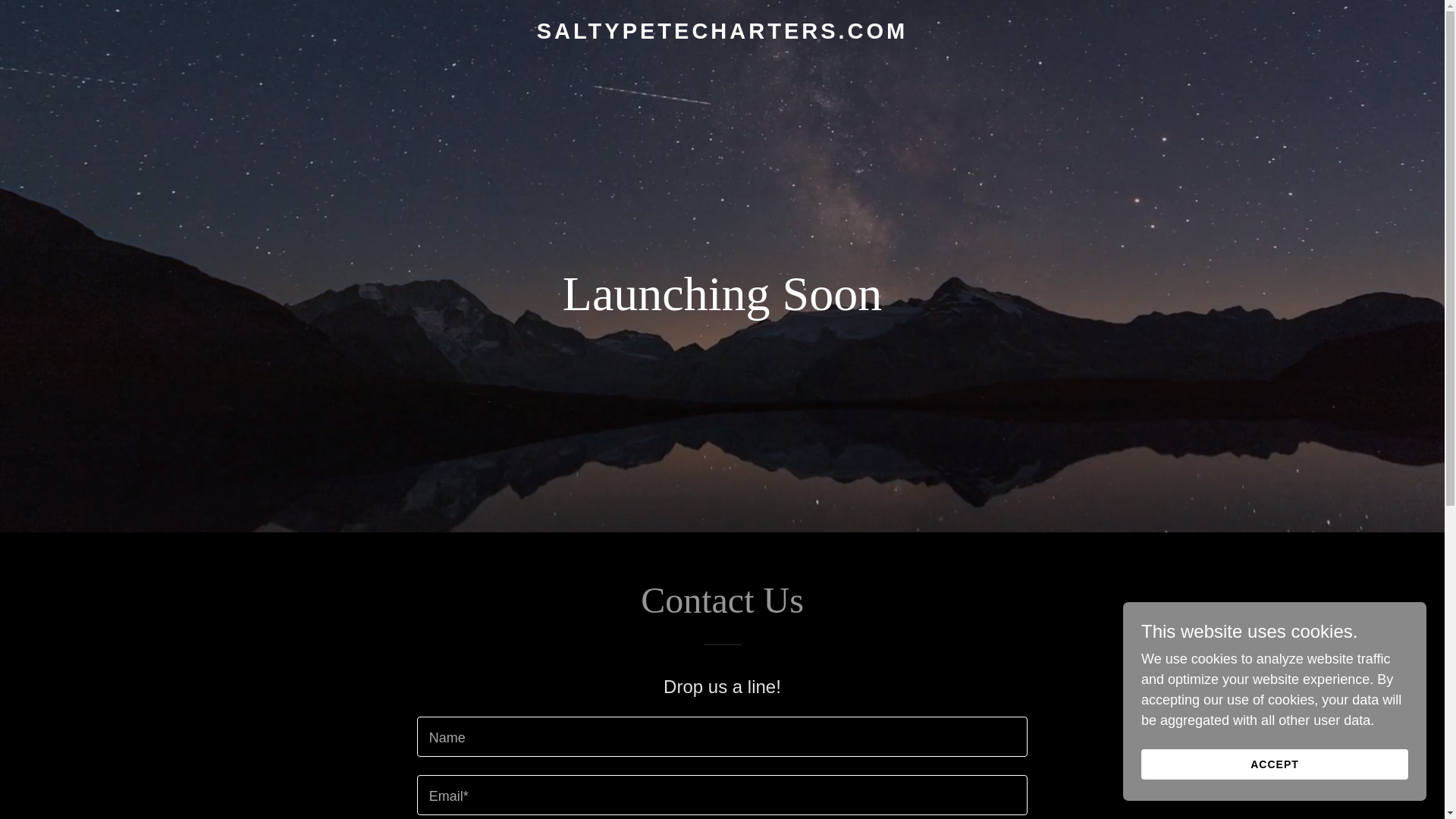 website screenshot of https://saltypetecharters.com/