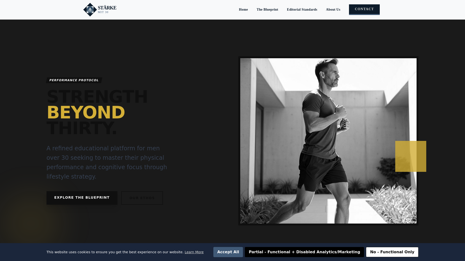 website screenshot of https://staerkemitinfo.info/