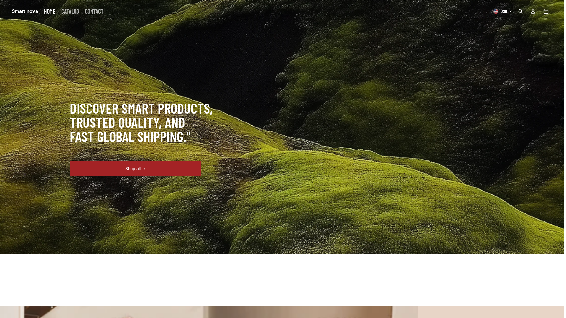 website screenshot of https://smartnova.us/