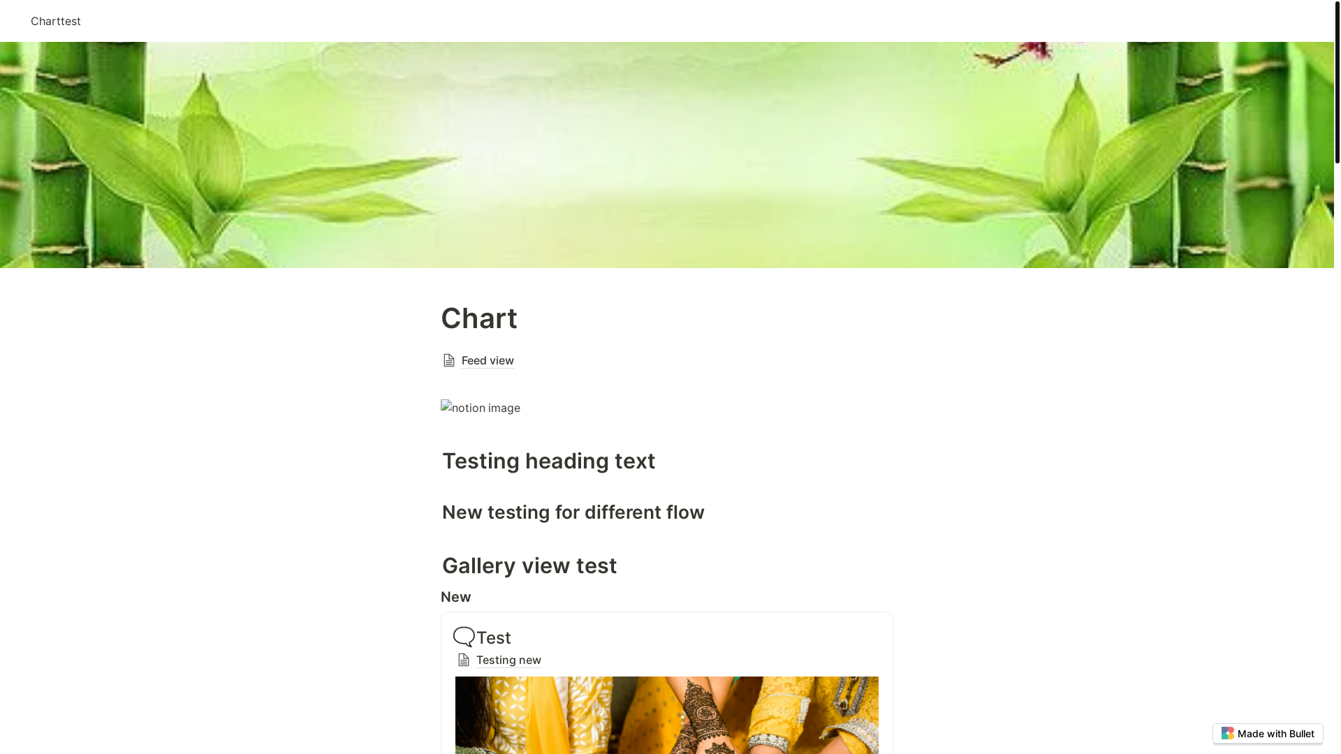 website screenshot of https://charttest-bullet.pages.dev/