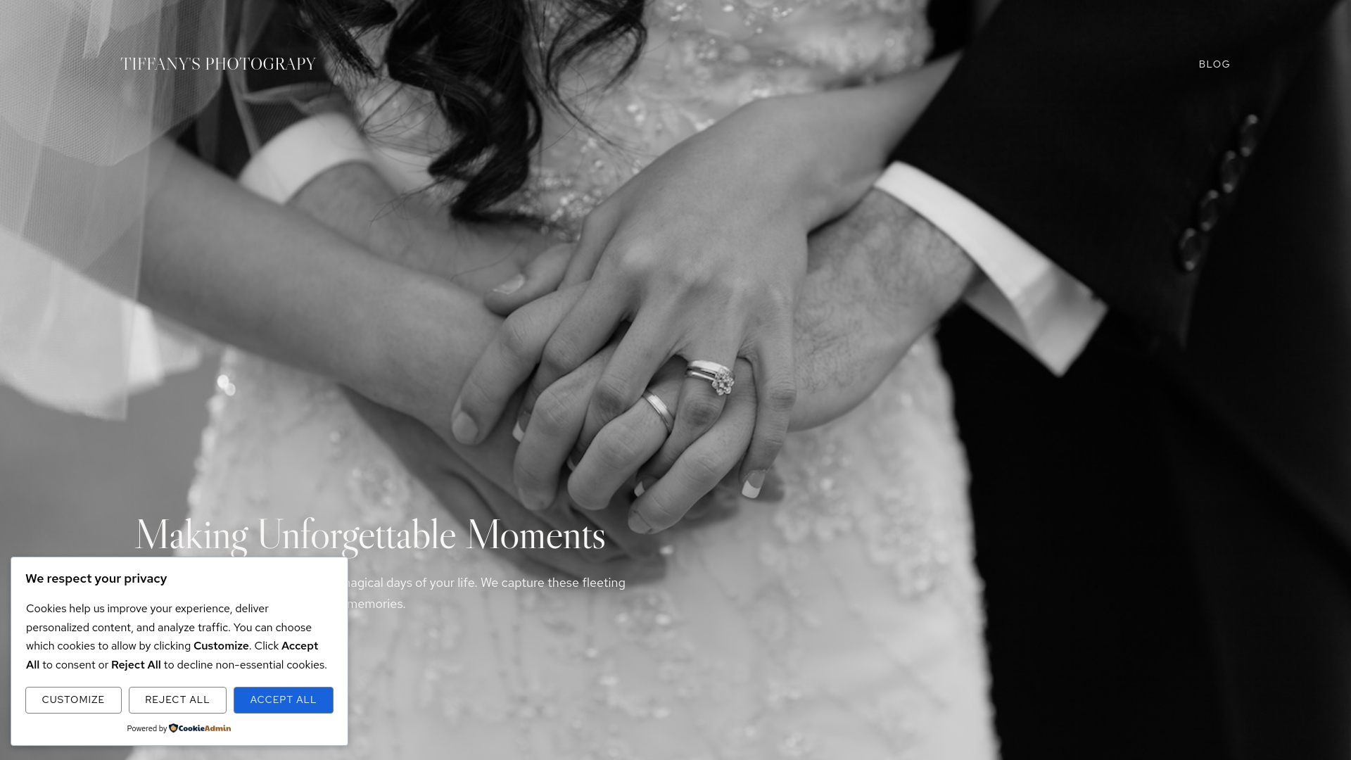 website screenshot of https://tiffanysteyn.co.za/