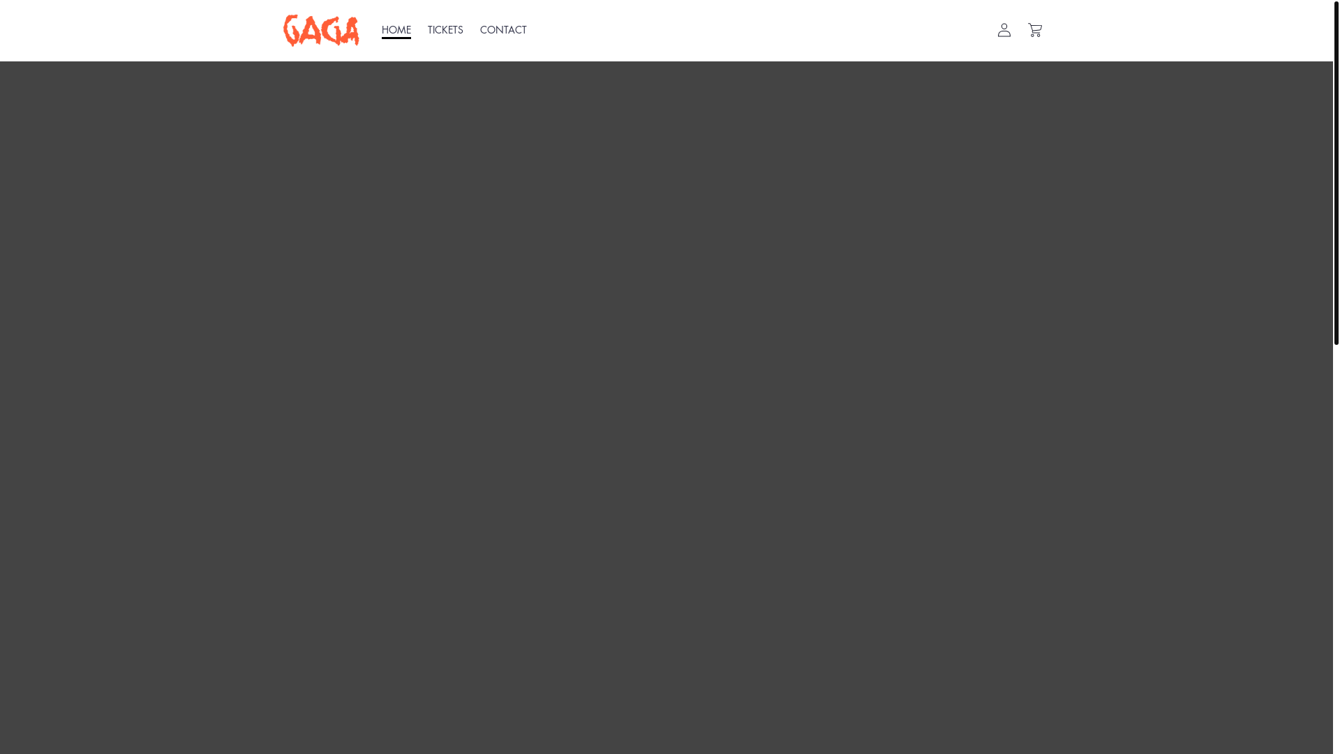 website screenshot of https://officieel-lgtour.com/