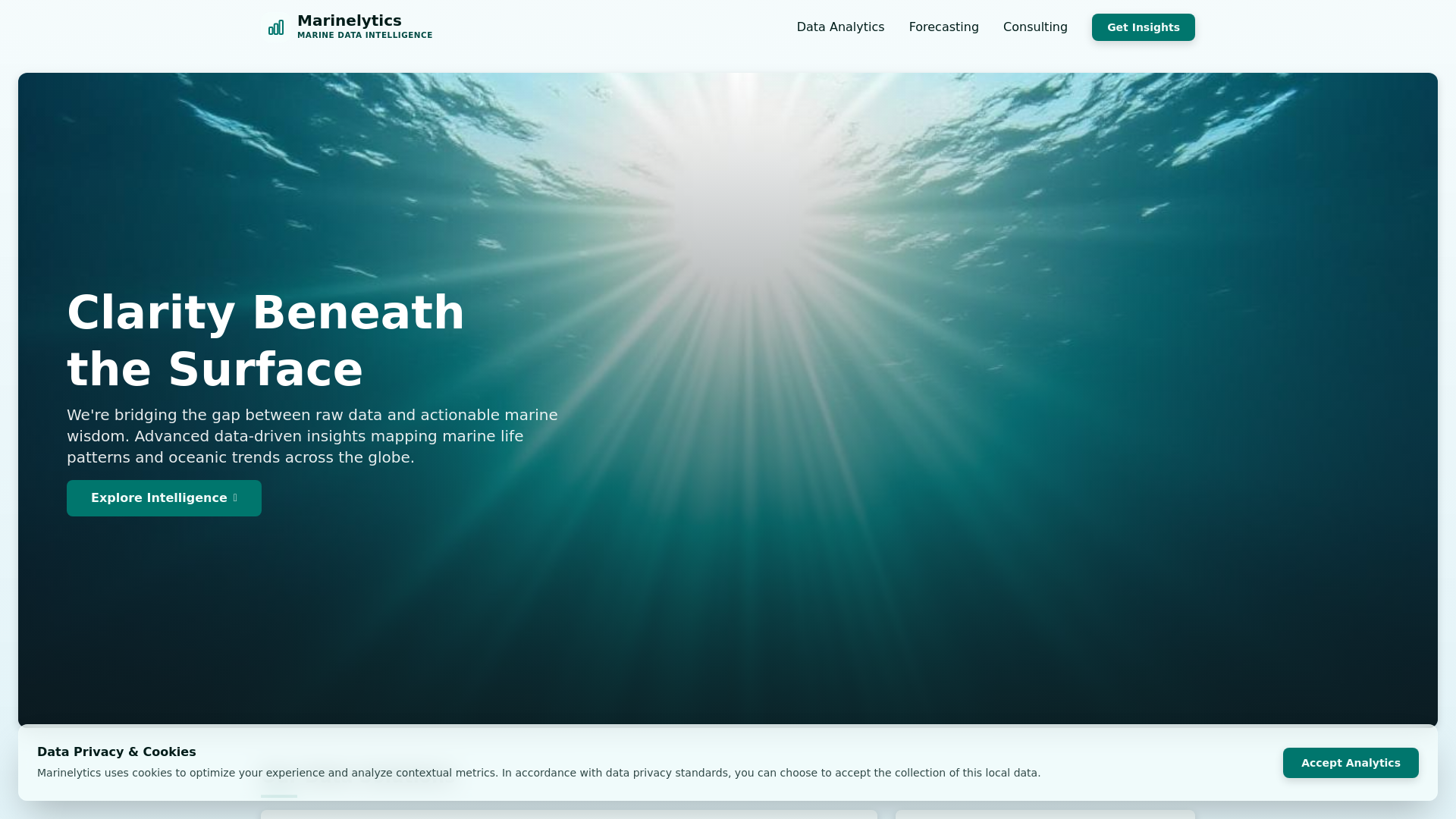 website screenshot of https://ectozoicflow.digital