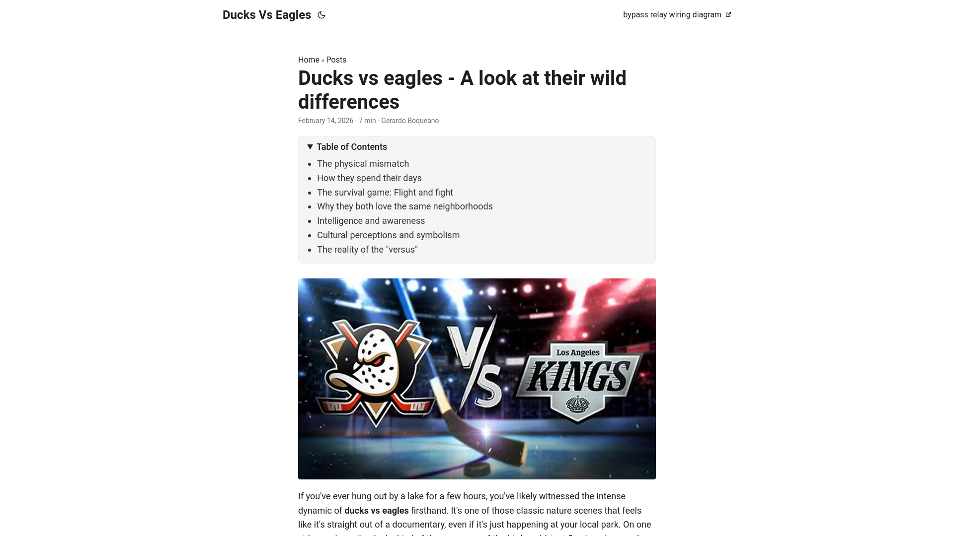 website screenshot of https://ducks-vs-eagles.pages.dev/