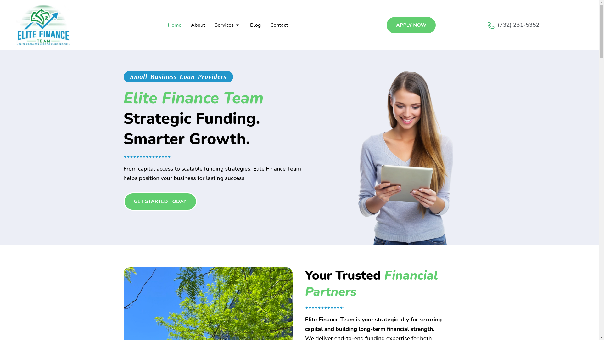 website screenshot of https://teamelitefinance.com/