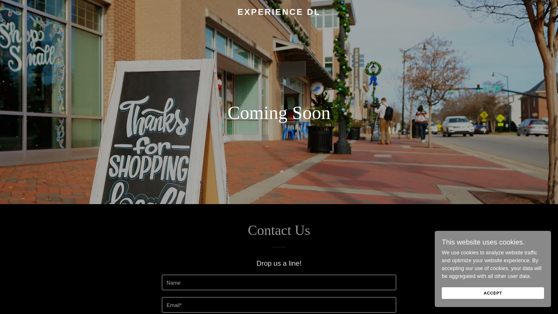 website screenshot of https://experiencedl.com/