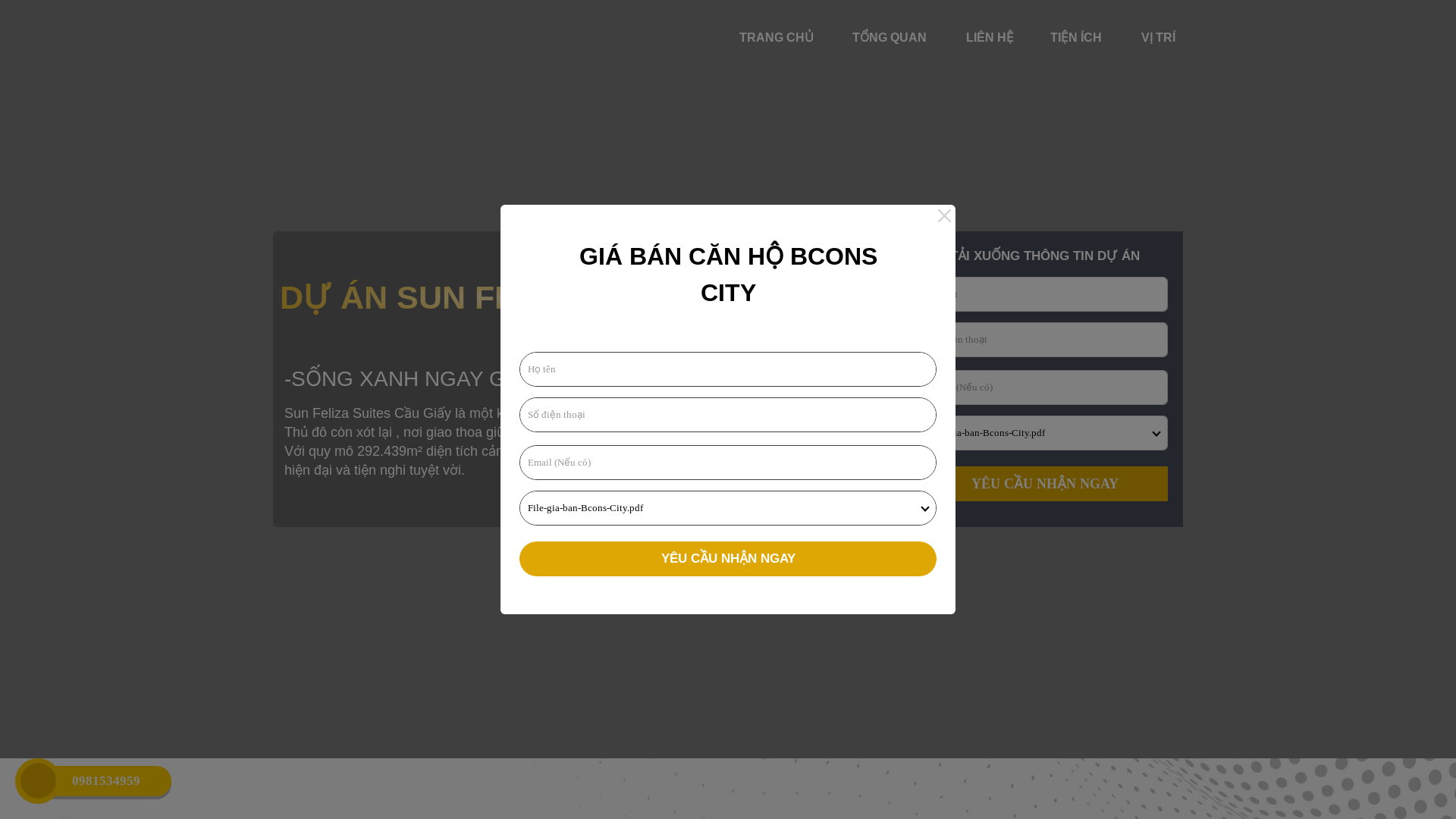 website screenshot of https://sunfelizacaugiay.website/