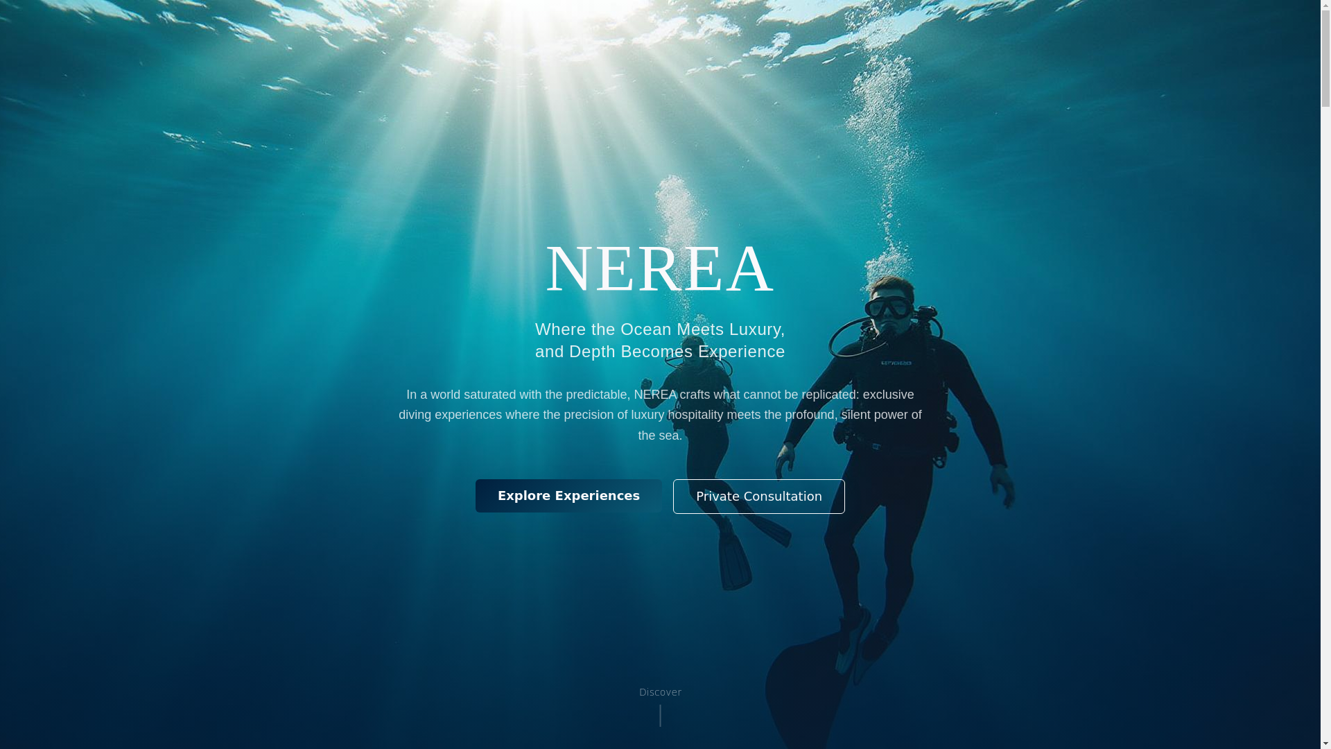website screenshot of https://nereavip.com/