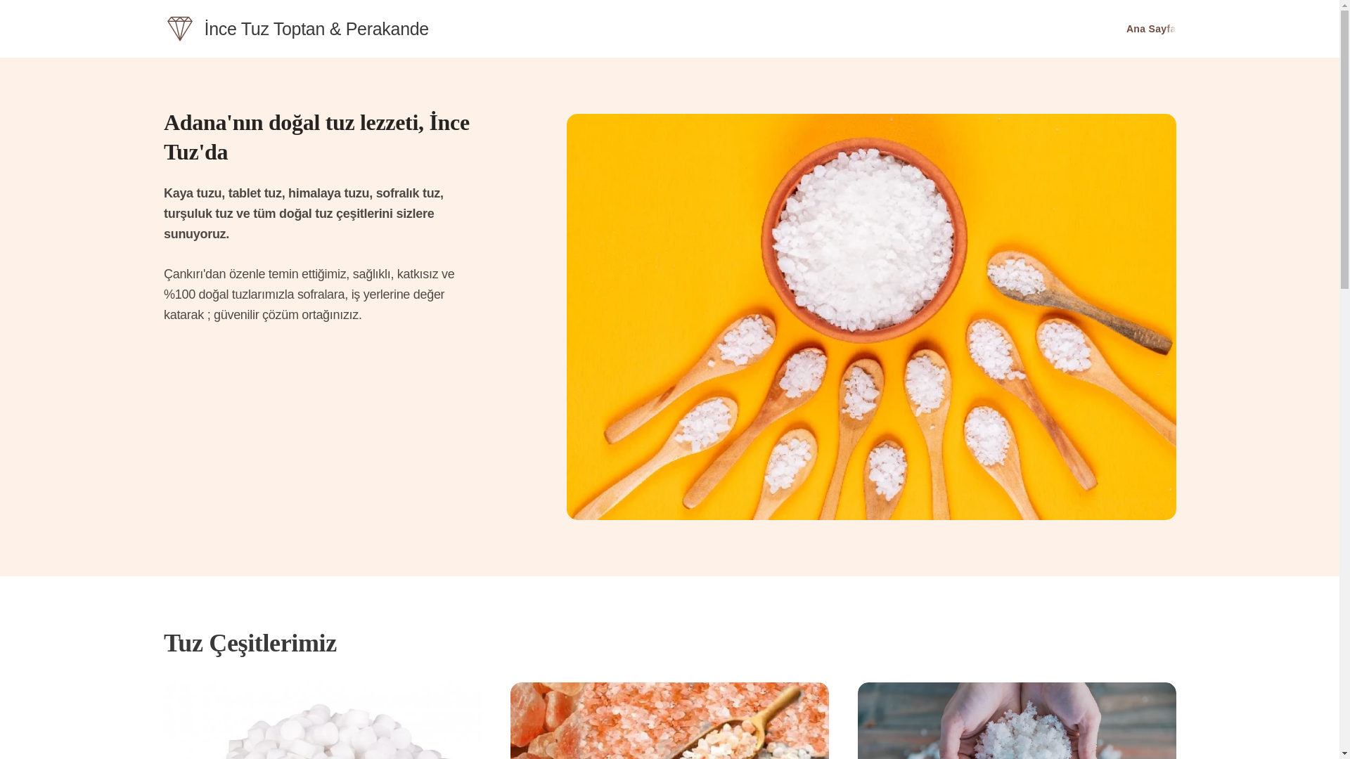 website screenshot of https://incetuz.com/