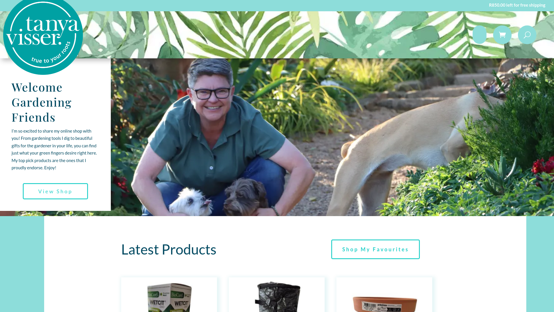 website screenshot of https://tanyavisser.com/