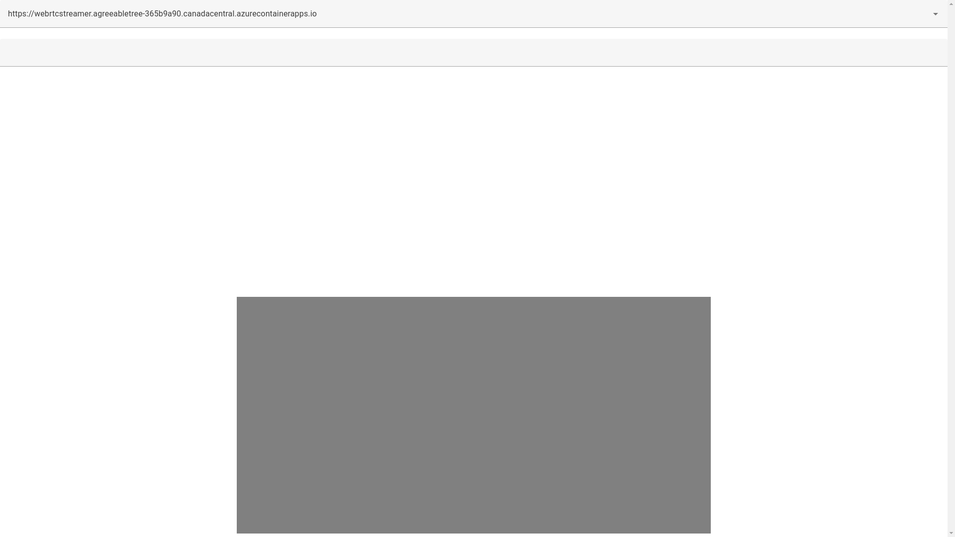 website screenshot of https://webrtc-streamer-vuejs.pages.dev/