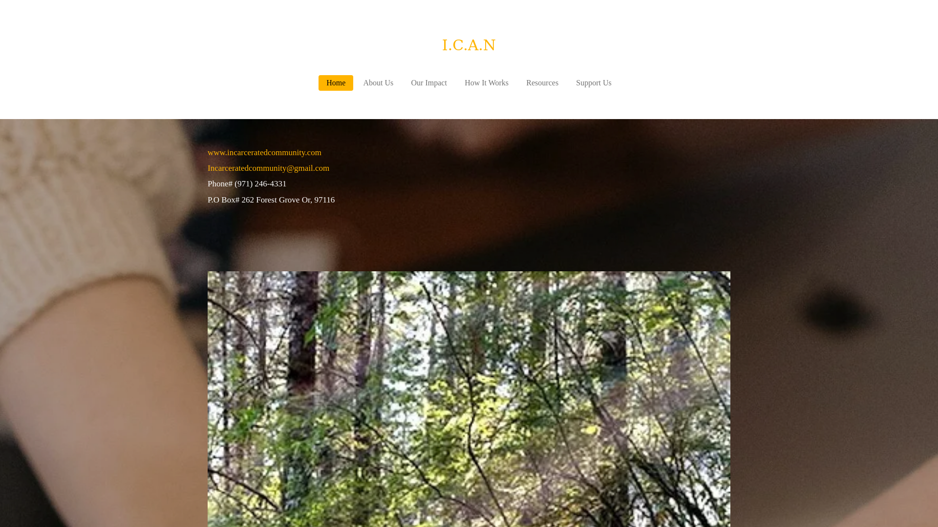 website screenshot of https://incarceratedcommunity.com