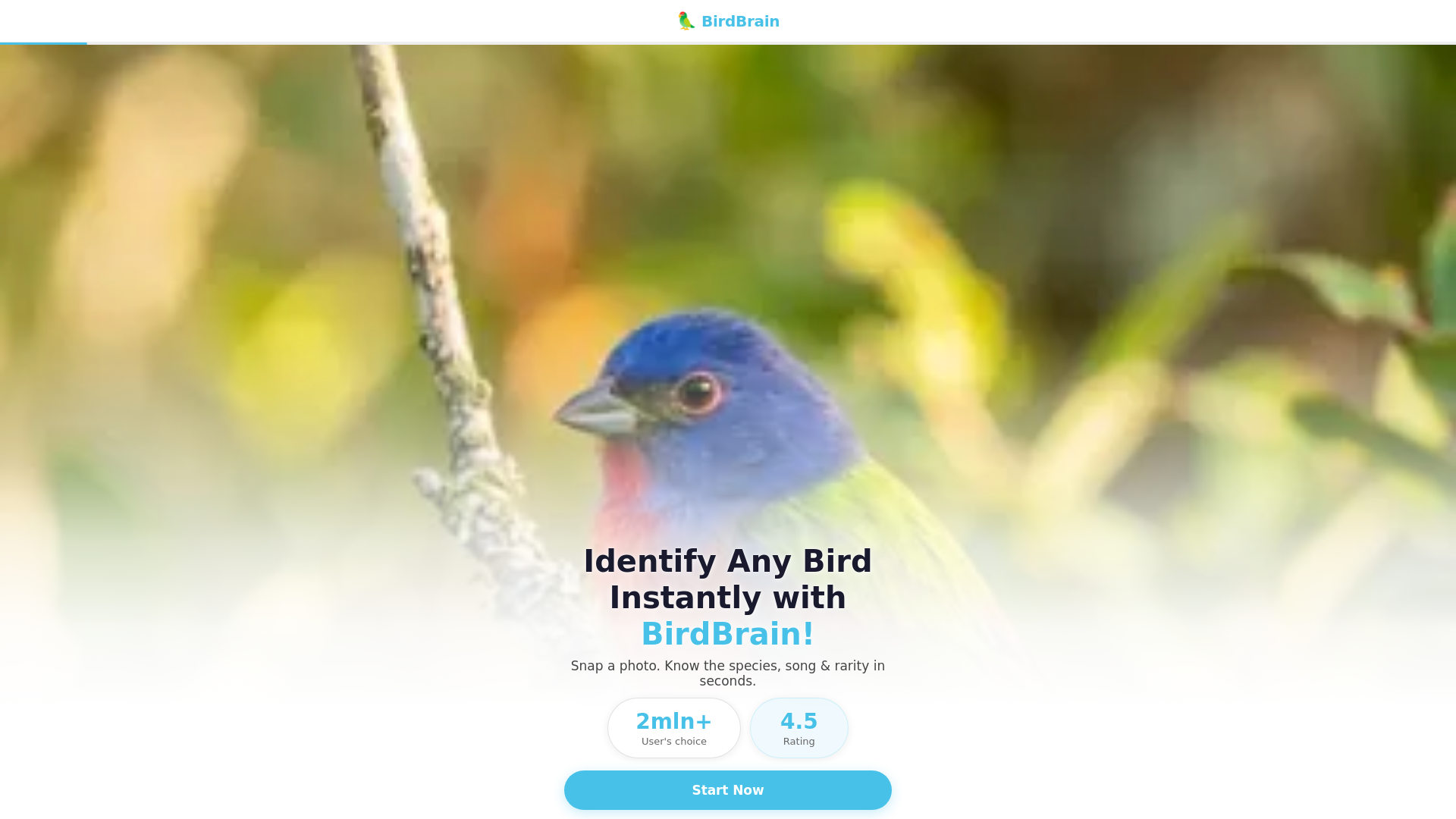 website screenshot of https://quiz-birdbrain.pages.dev/